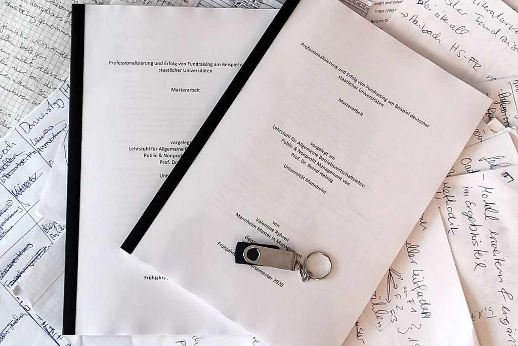 Fund­rai­sing-Struk­turen an deut­schen staat­li­chen Hoch­schulen