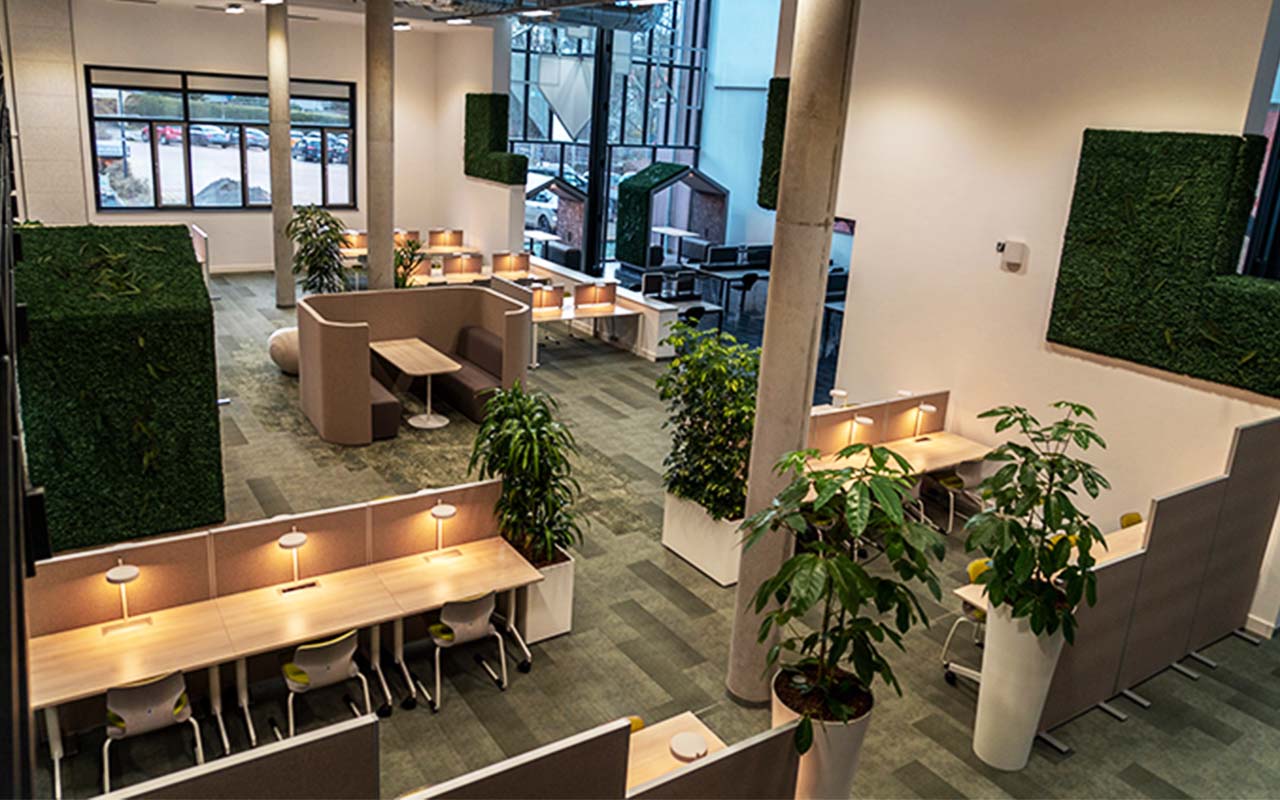 hochschule-harz-vielfältige-arbeitsmöglichkeiten-fuer-studierende-bibliothek-rheform-projekt