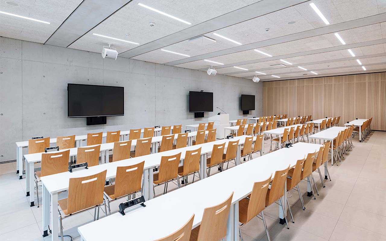 hochschule-aalen-vorlesungssaal-hanggeschoss-baum-wurzeln-farbkonzept-rheform-projekt