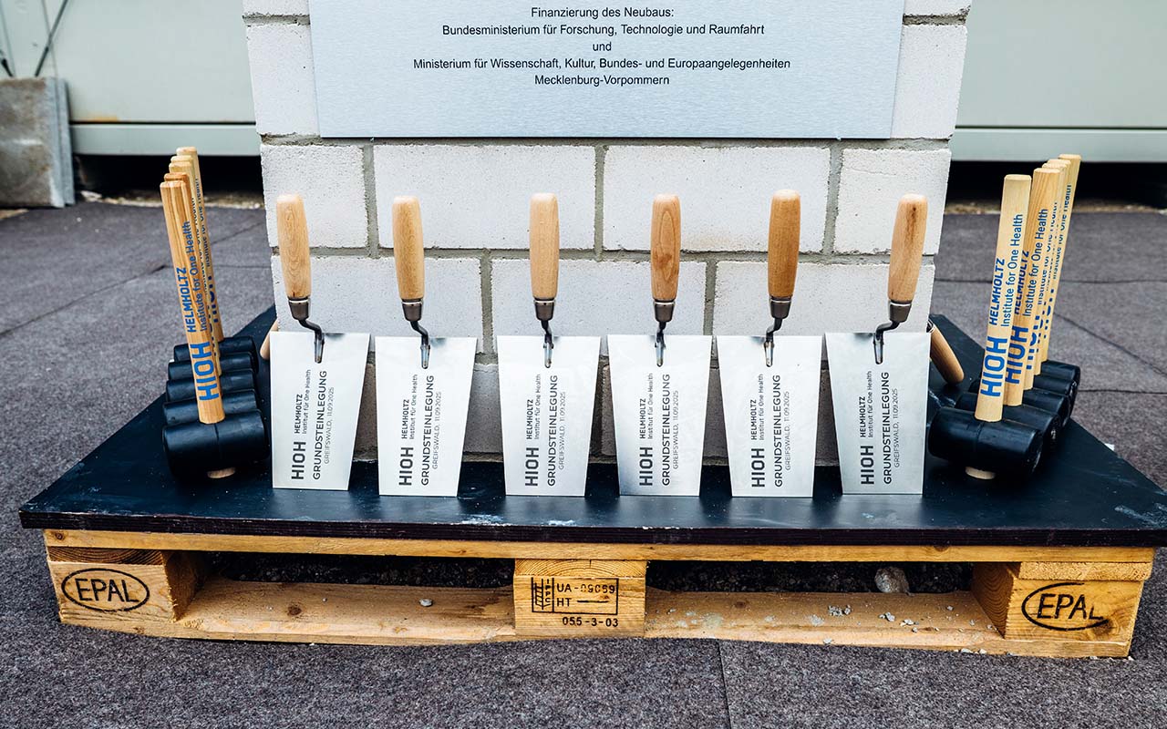 grundsteinlegung-hioh-greifswald: symbolische schaufeln auf der bühne zur feierlichen eroeffnung des forschungsneubaus "one health" in greifswald